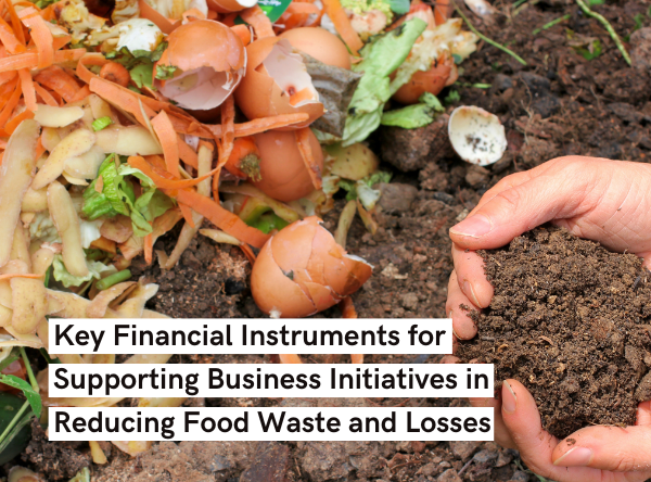 Key Financial Instruments for Supporting Business Initiatives in Reducing Food Waste and Losses